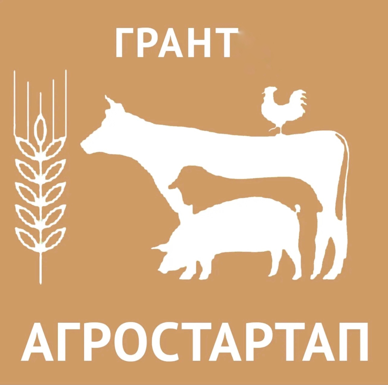 Агростартап.