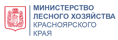 О проведении конкурса.