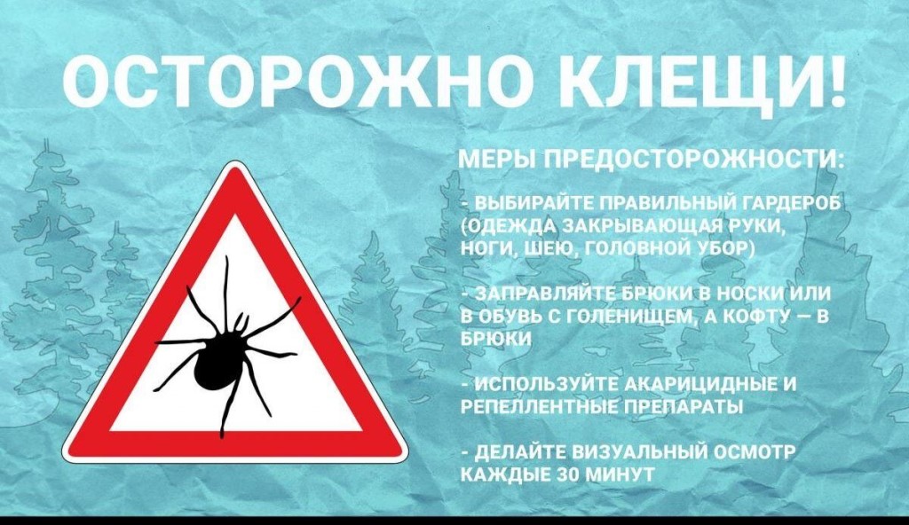Осторожно клещи!.