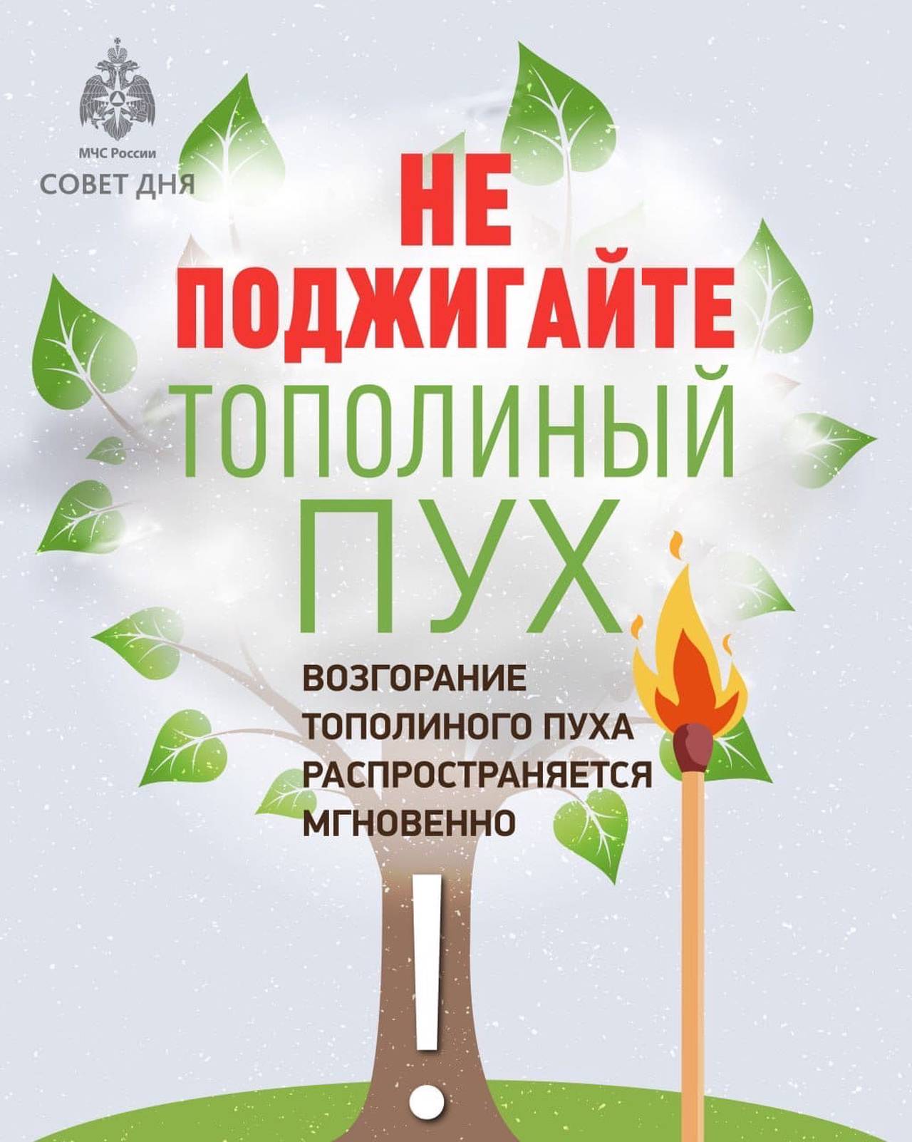 Не поджигайте тополиный пух!.