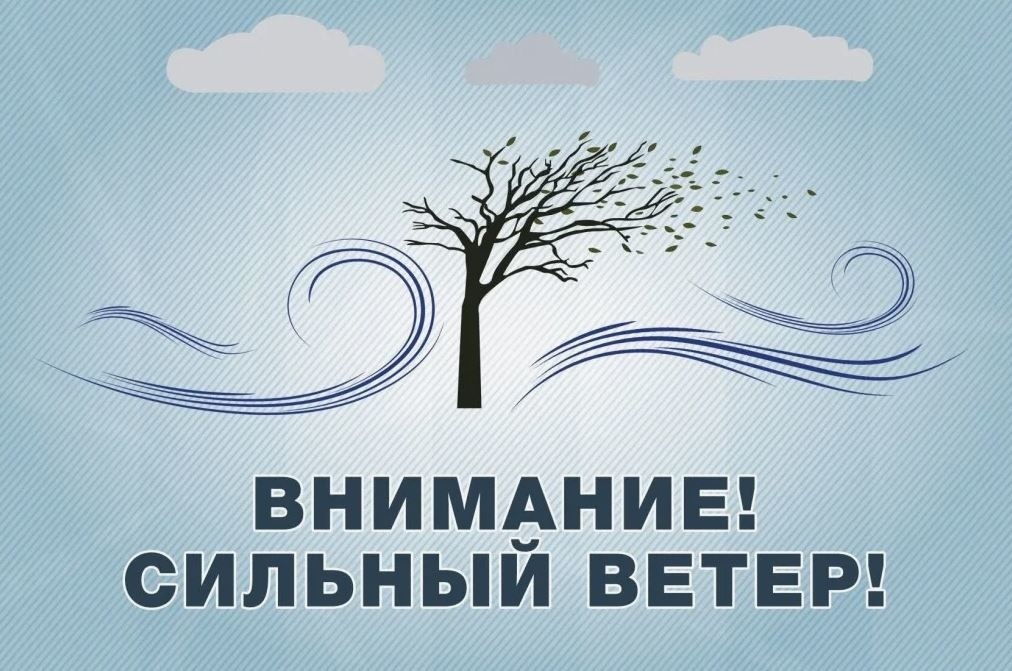 Как вести себя при сильном ветре, грозе и граде.
