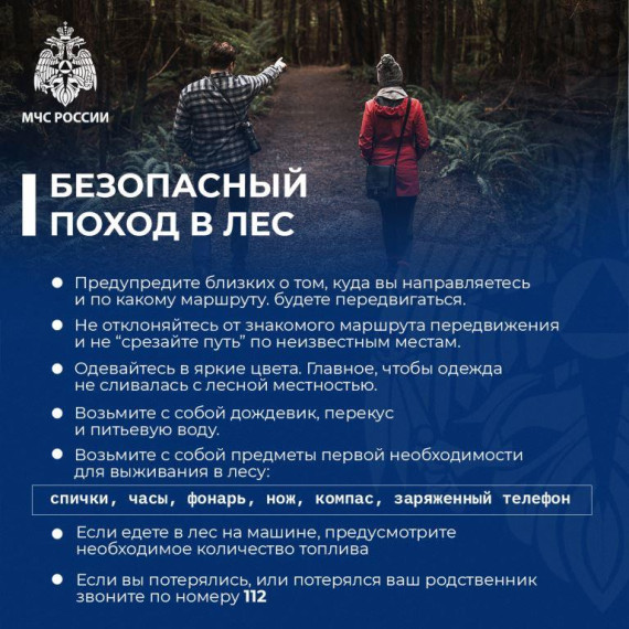 Безопасный поход в лес.. Безопасный поход в лес..