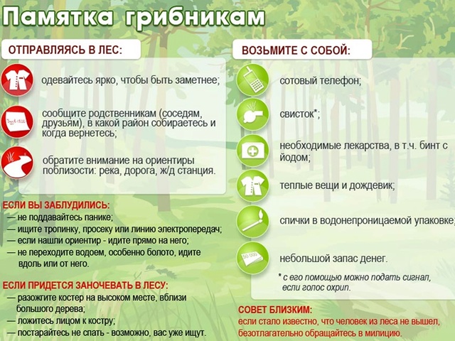 Памятка грибникам!. Памятка грибникам!.