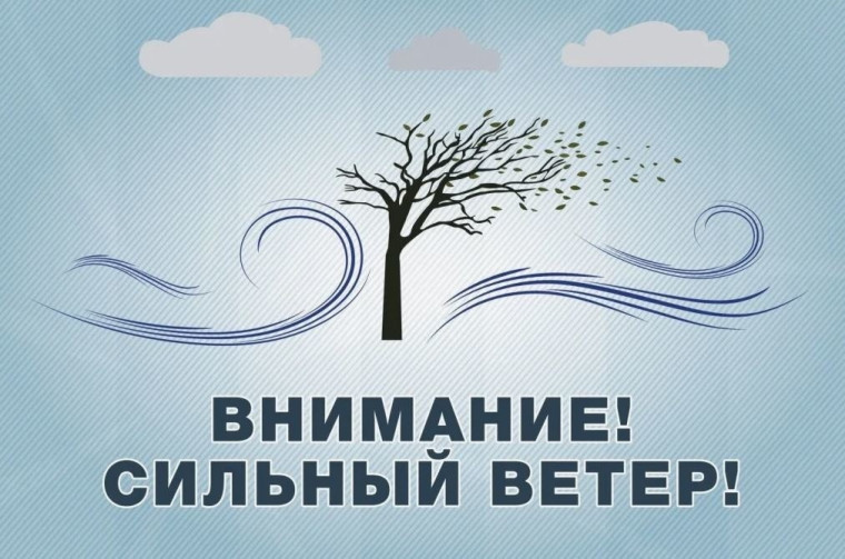 Как вести себя при сильном ветре, грозе и граде. Как вести себя при сильном ветре, грозе и граде.