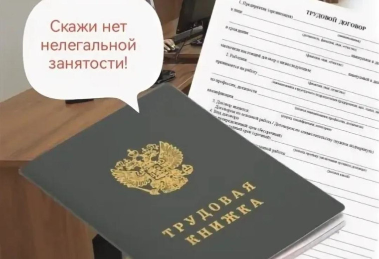 Нелегальная занятость и ее влияние на жизнь конкретного работника и работодателя. Нелегальная занятость и ее влияние на жизнь конкретного работника и работодателя.